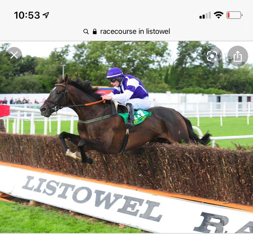 Racecourse View Hotel Listowel Luaran gambar